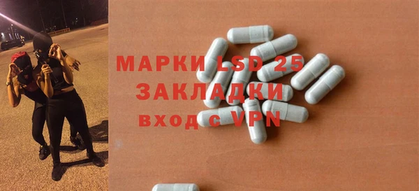 индика Гусиноозёрск