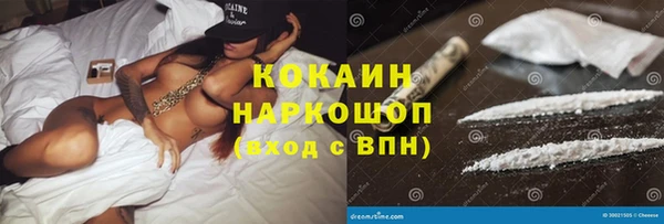 индика Гусь-Хрустальный