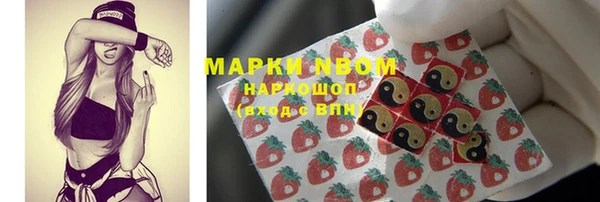 шишки Алзамай