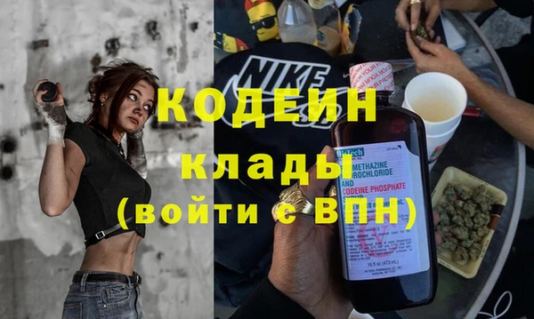шишки Алзамай