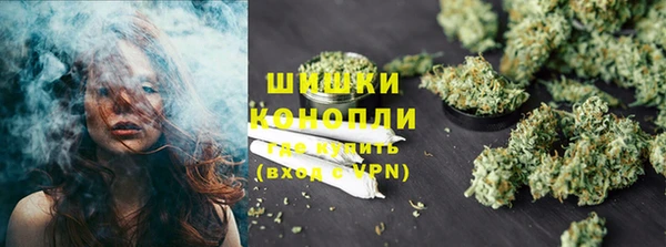 шишки Алзамай