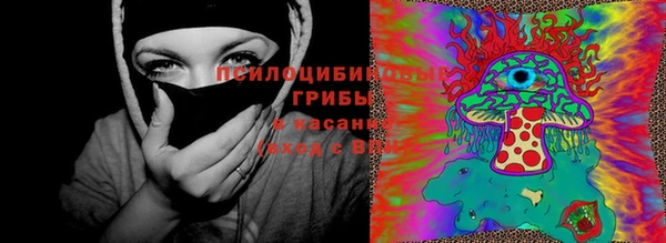 шишки Алзамай